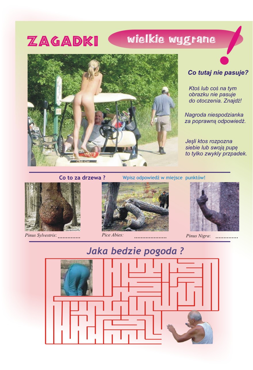 oldal 08a.jpg (251981 bytes)