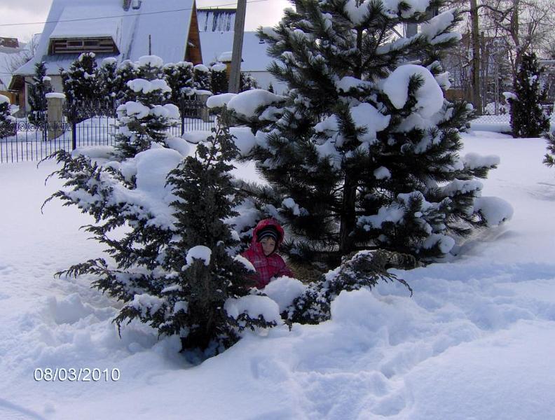 006.JPG - A ház előtti kertben.